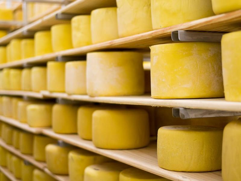 Queso