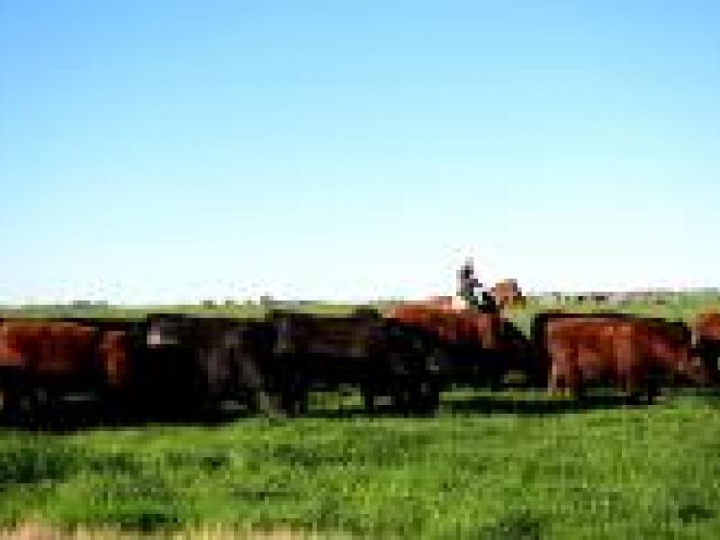 Producción Agrícola Ganadera