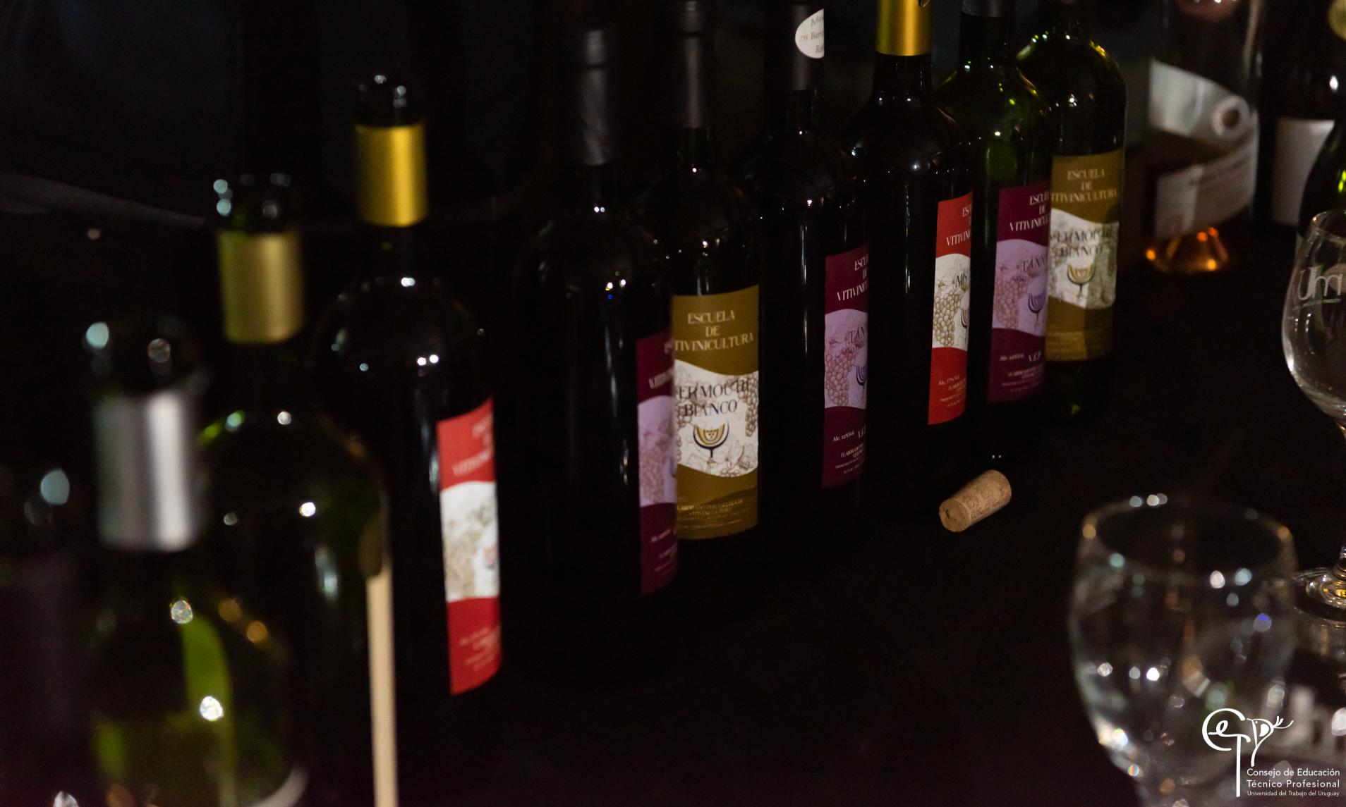 Producción de la escuela de Vitivinicultura
