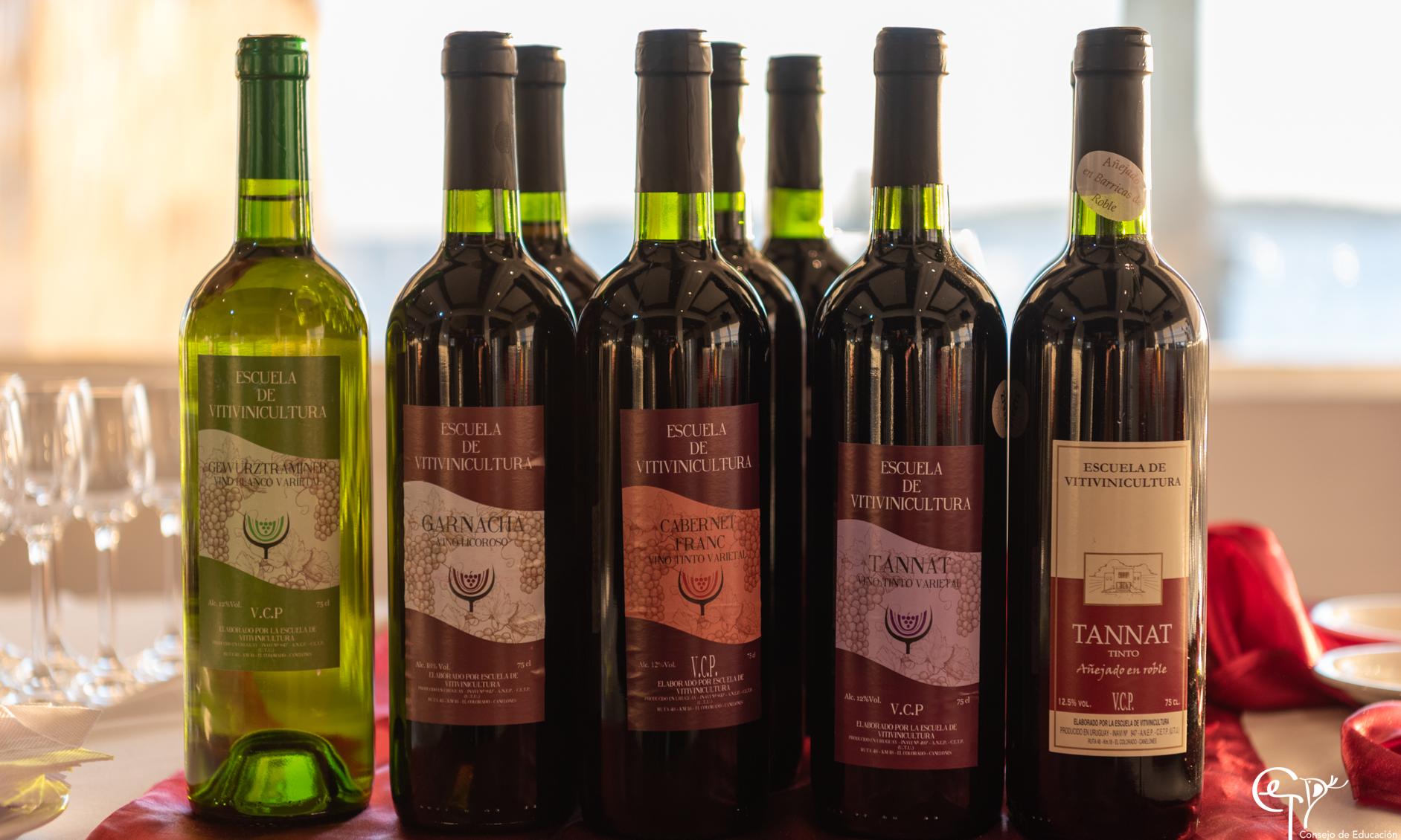 Vinos de la Escuela Superior de Vitivinicultura
