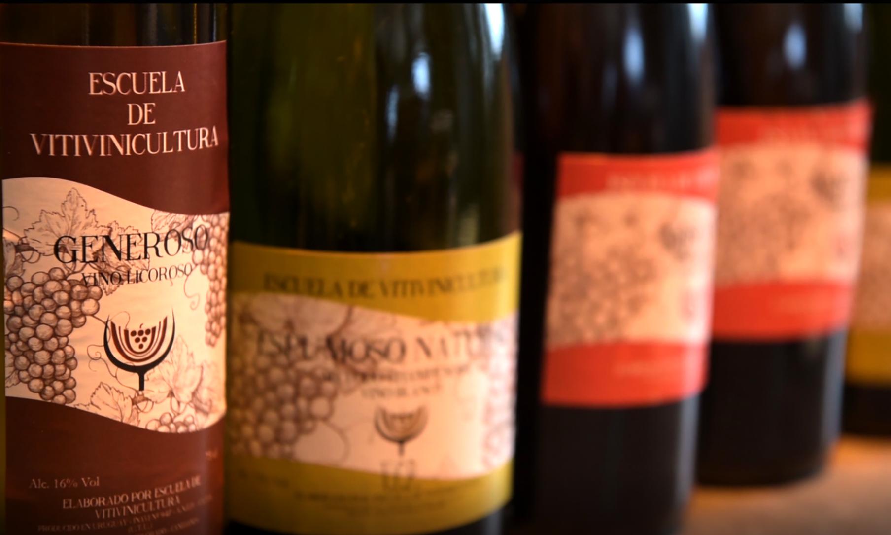 Vinos embotellados