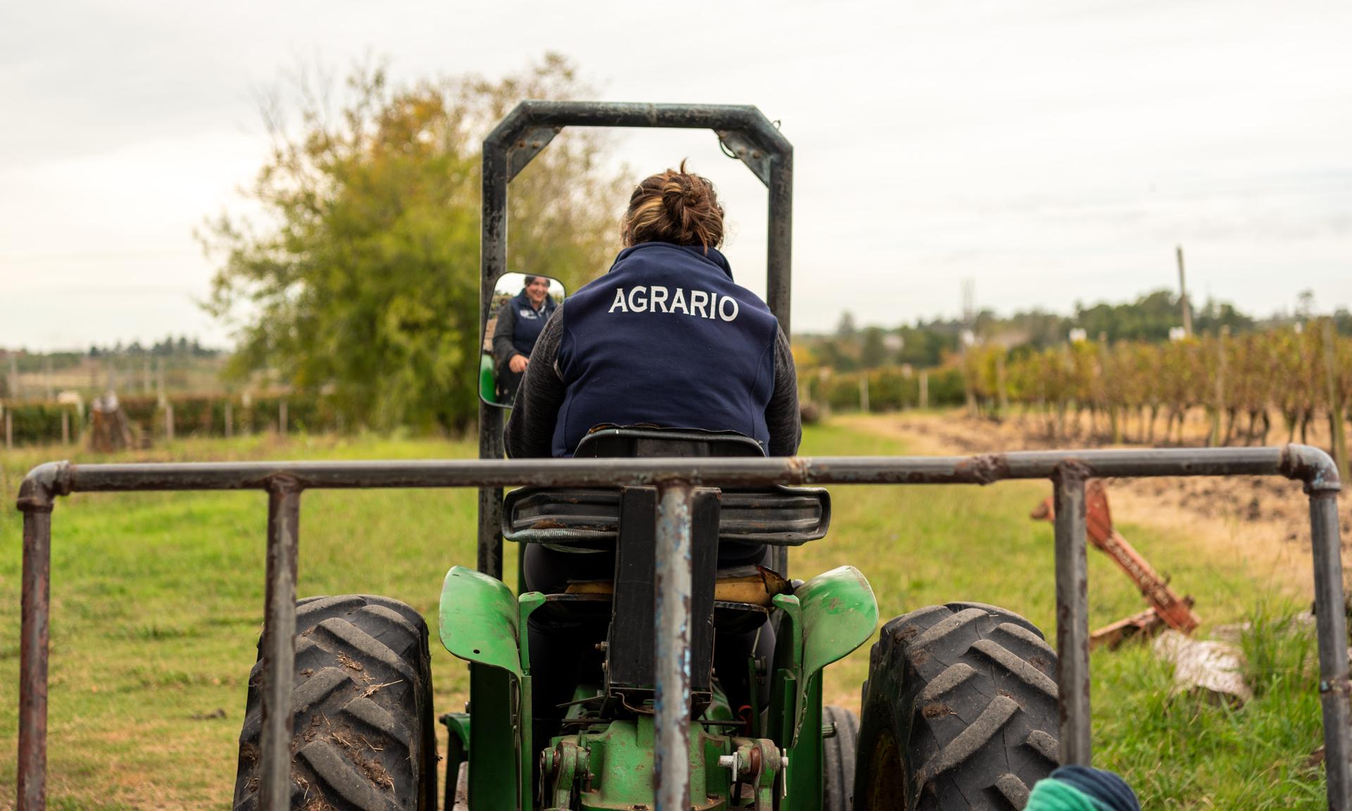 Estudiante agrario
