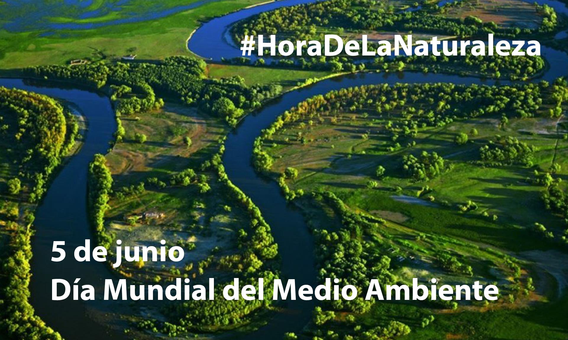 Día Mundial del Medio Ambiente 2020: #HoraDeLaNaturaleza