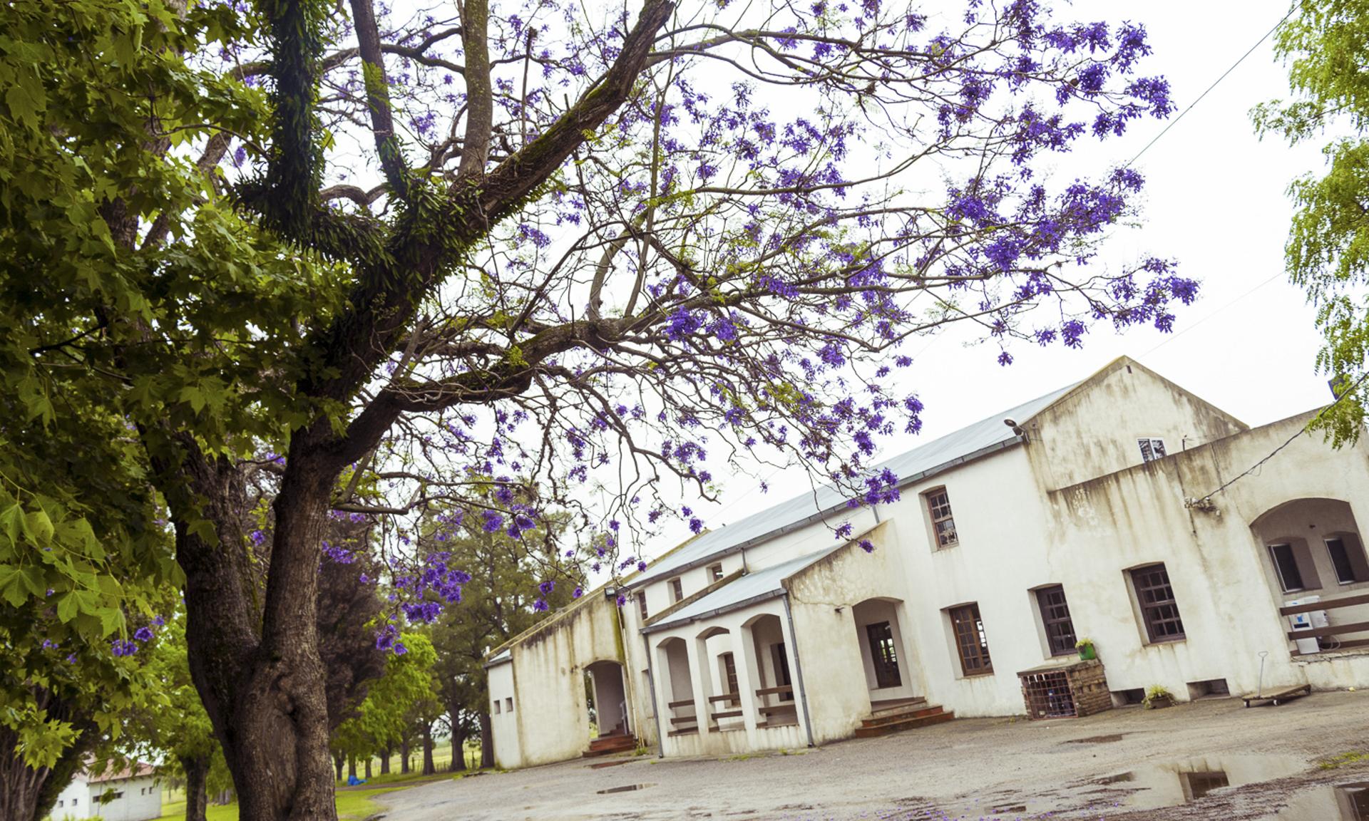 Instalaciones de la Escuela Superior de Lechería Colonia Suiza