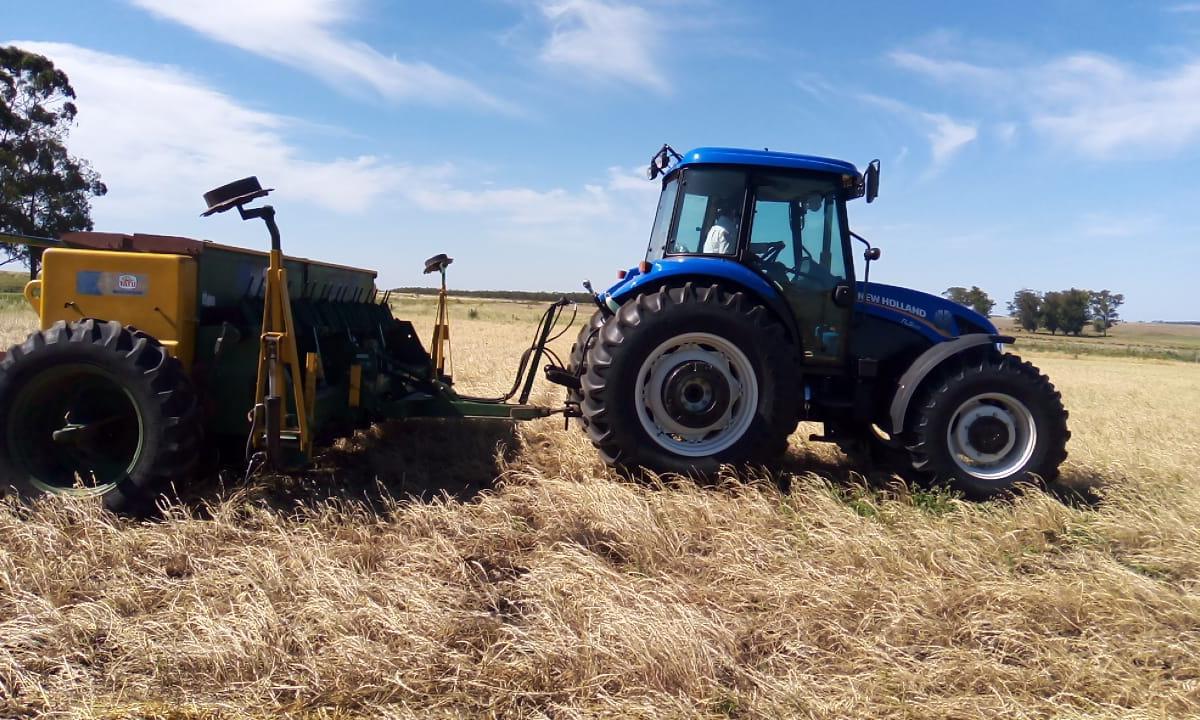 tractor