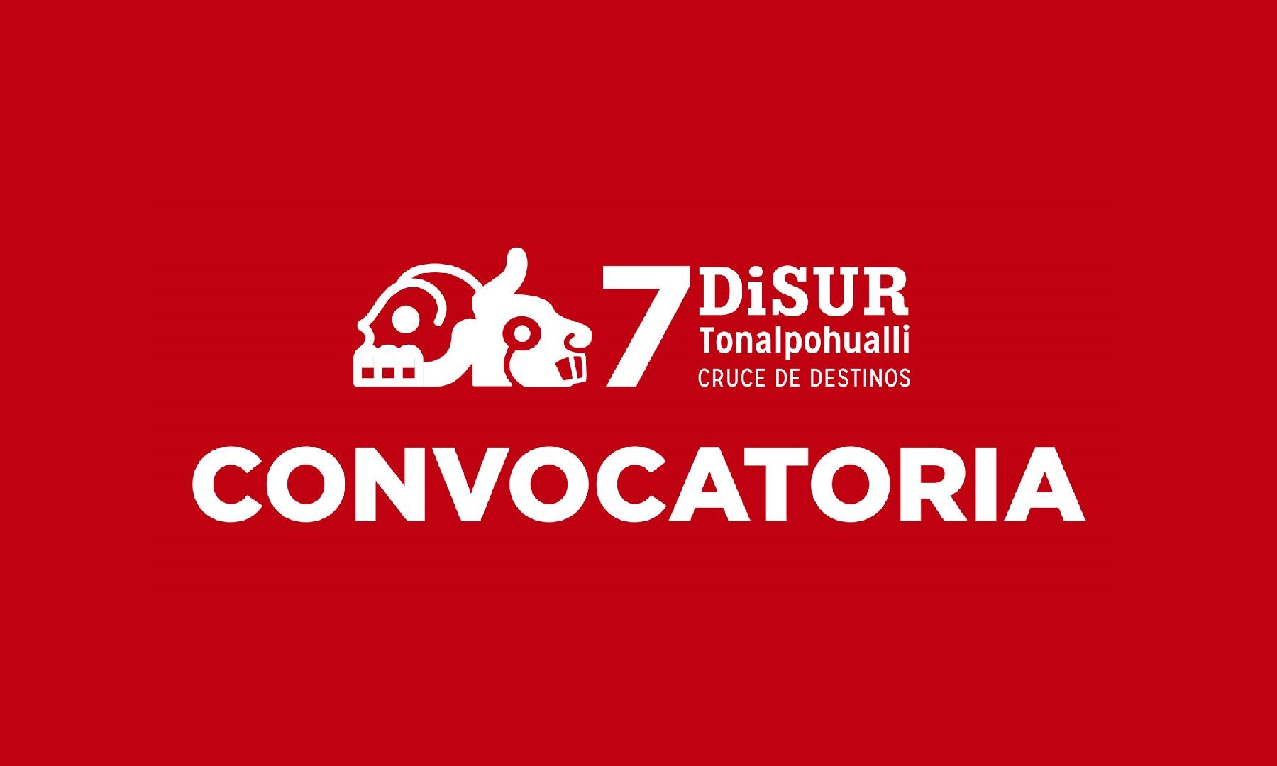 Convocatoria DiSur
