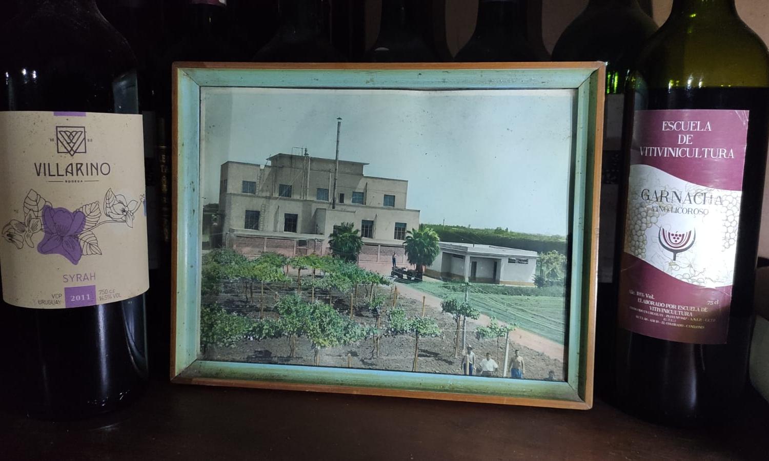 escuela y vinos