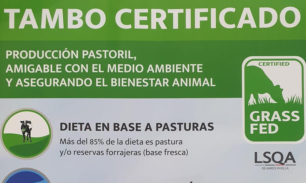 afiche