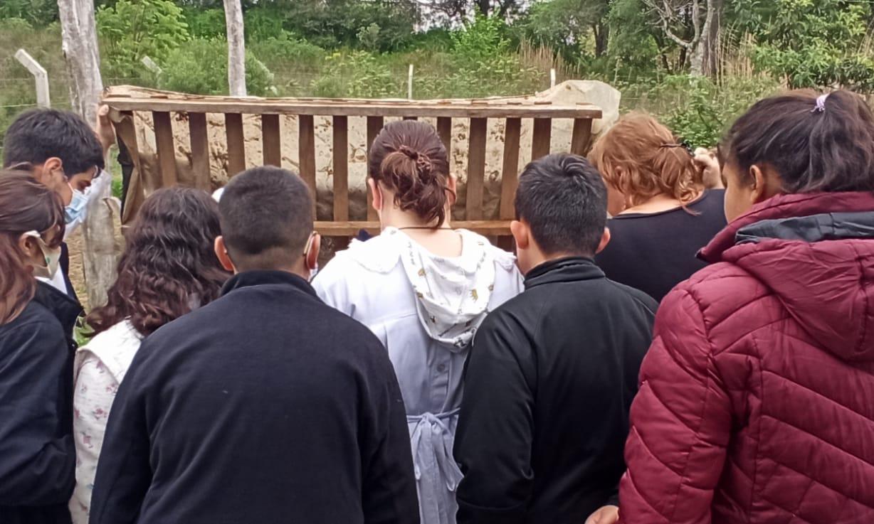 Alumnos escuela Nº 94 de Rivera en recorrida por el Polo Tecnológico de UTU