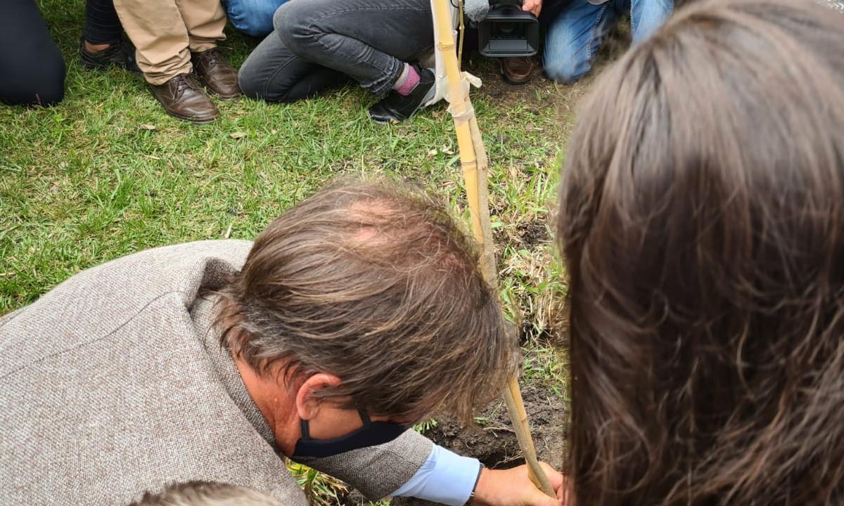 lacalle plantando