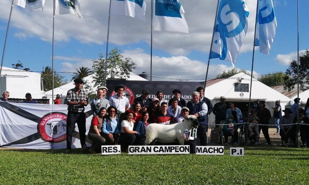 todos con el gran campeón