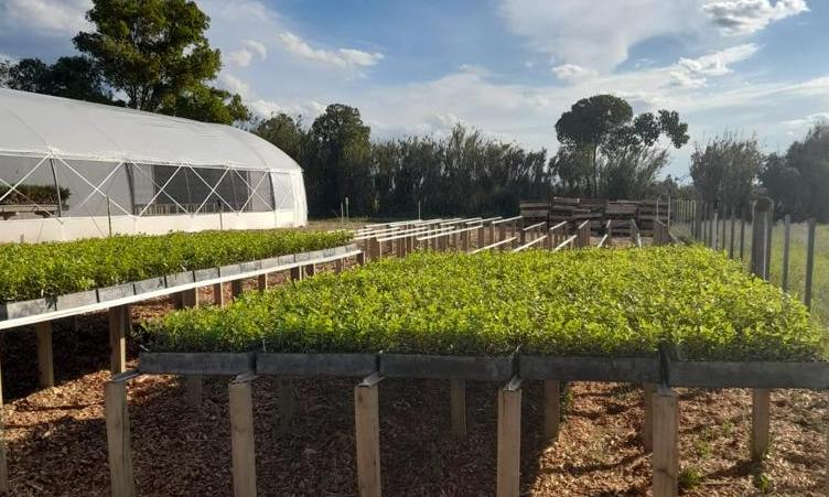Vivero de Sarandí del Yí 
