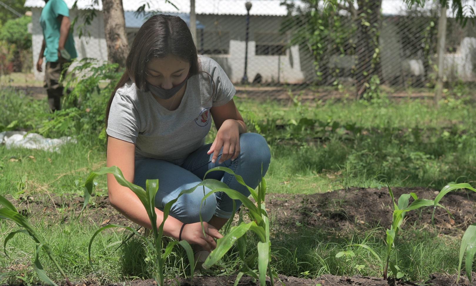 estudiante plantando