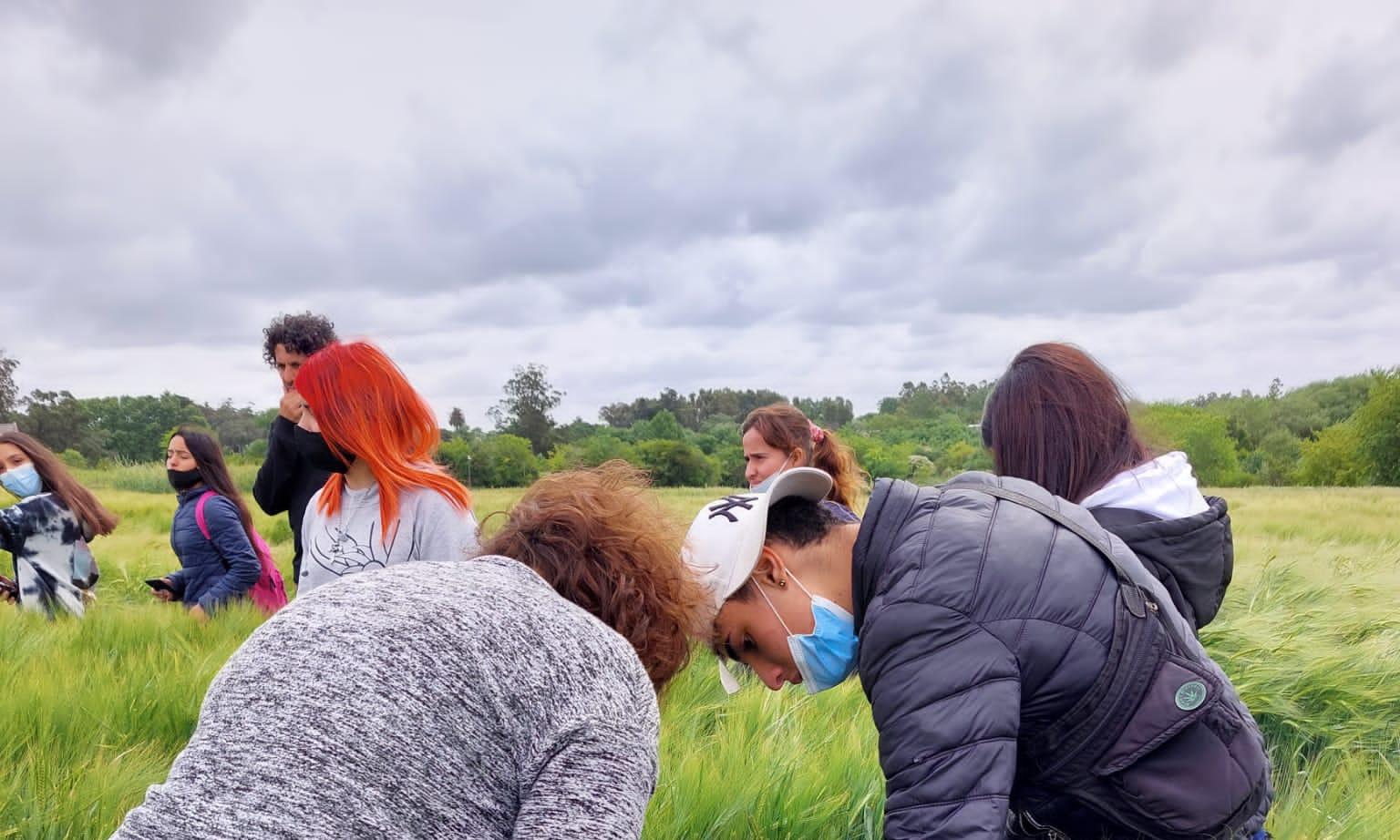en el campo con los cultivos
