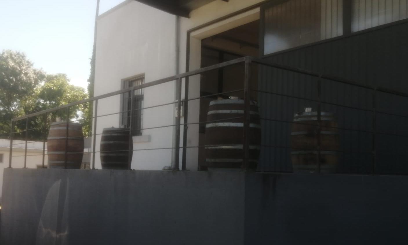 Toneles de vino