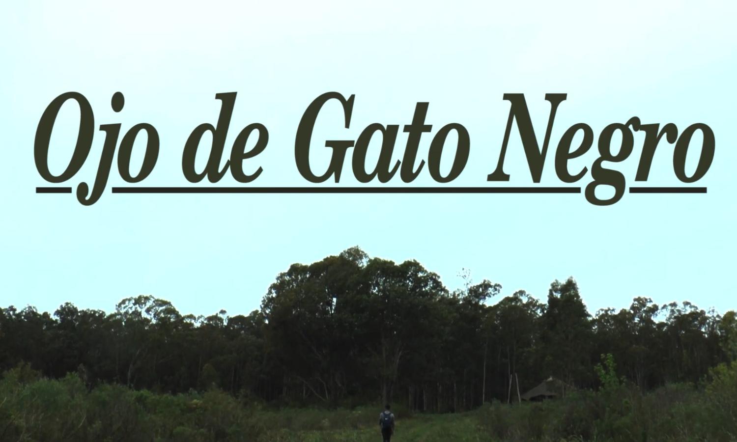 nombre del cortometraje