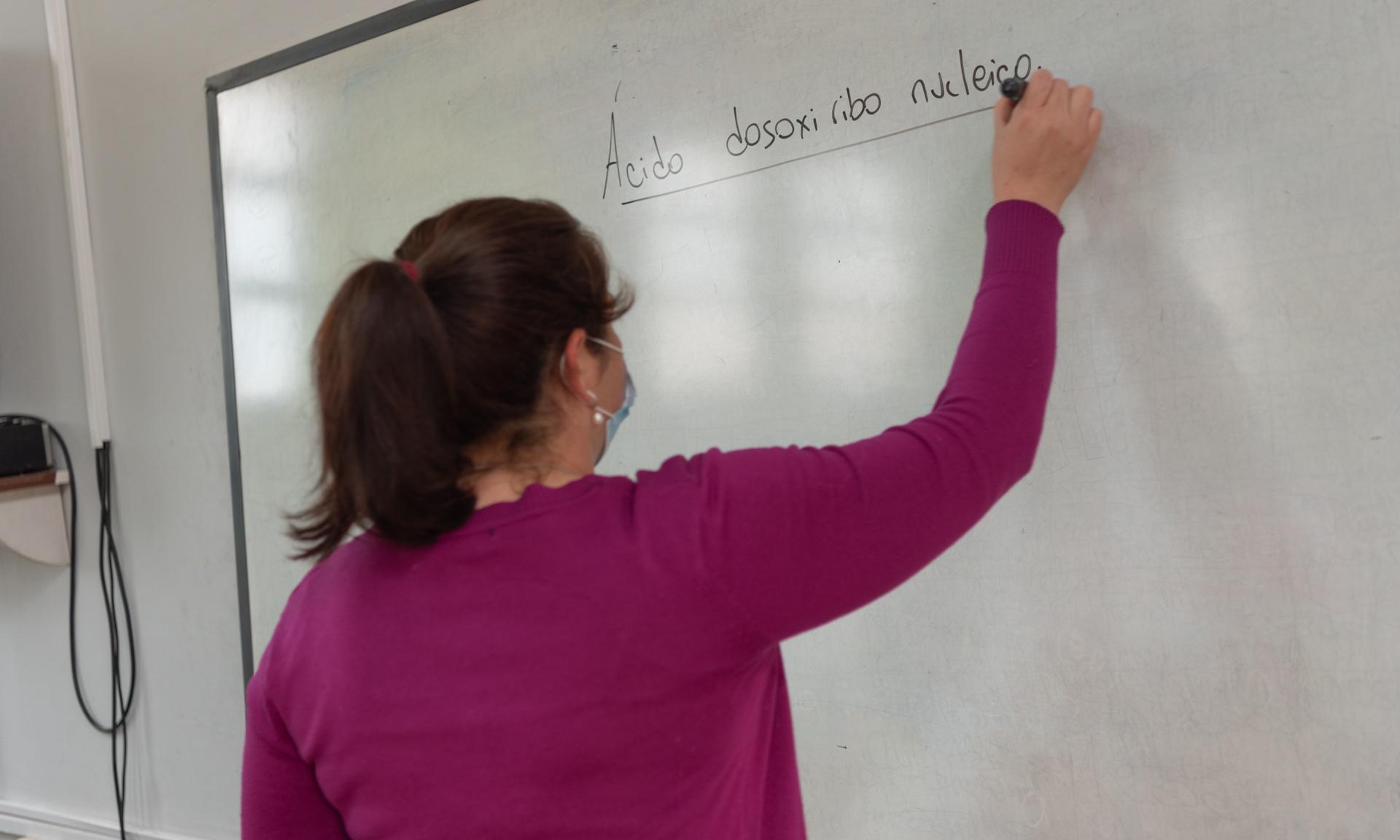 docente en clase 
