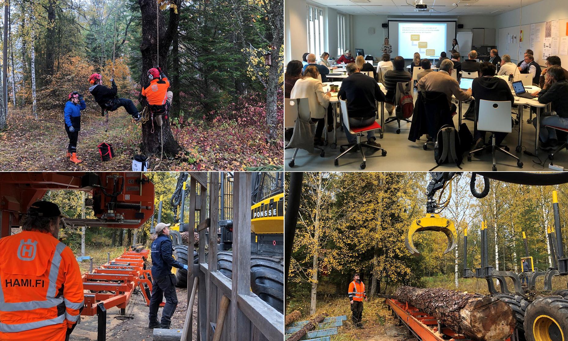 participantes del proyecto en Finlandia