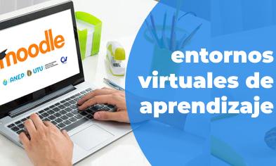 Flyer entornos virtuales