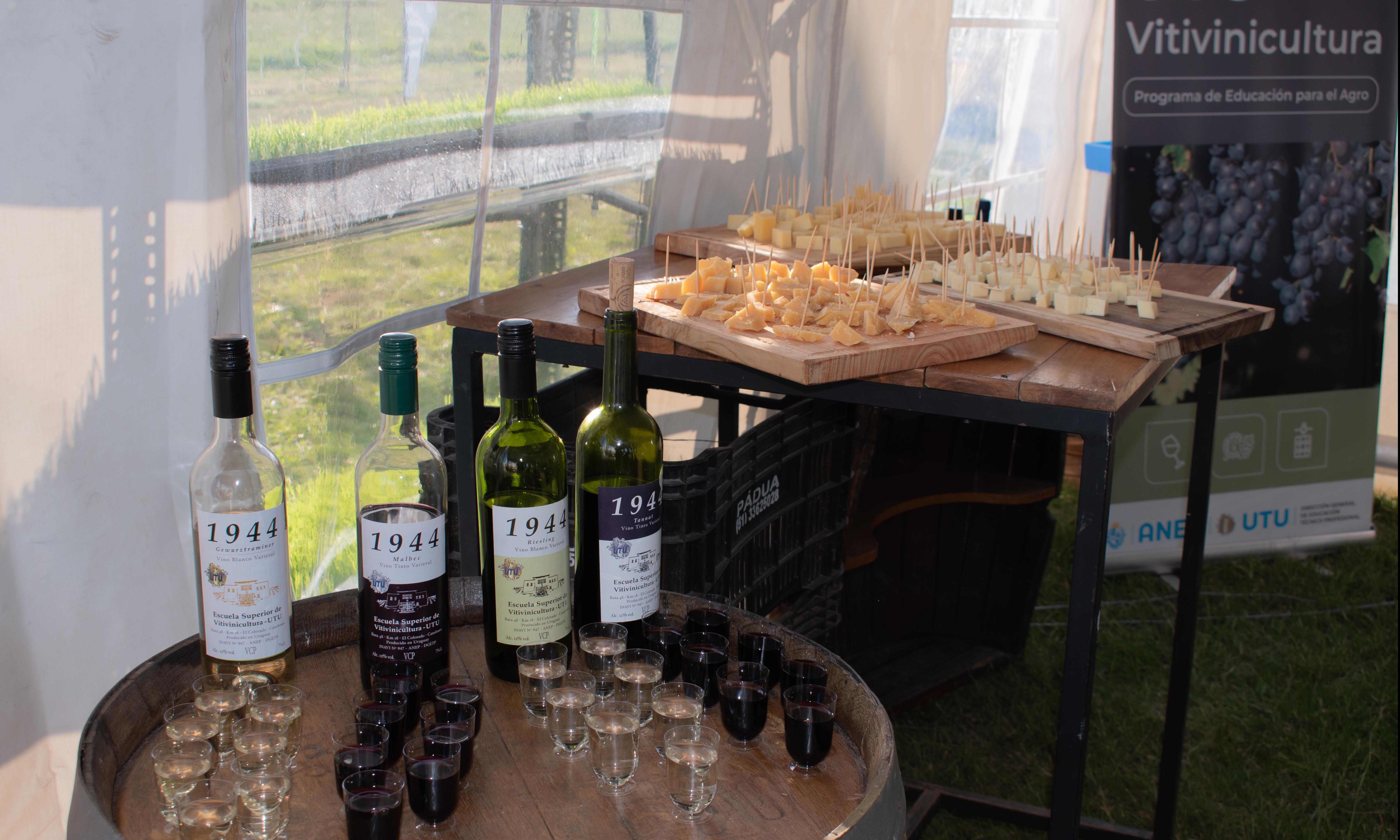 Exposición de productos de UTU