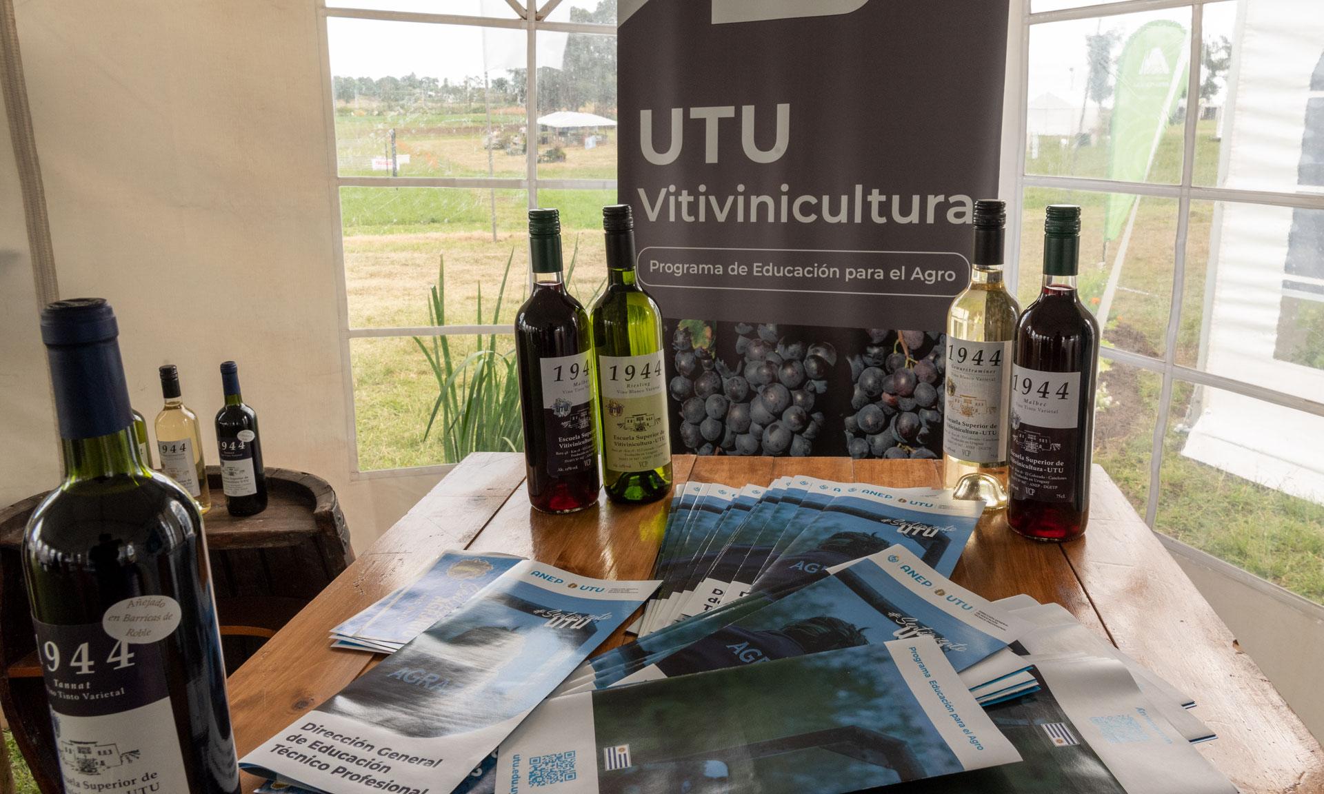 Muestra de vitivinicultura