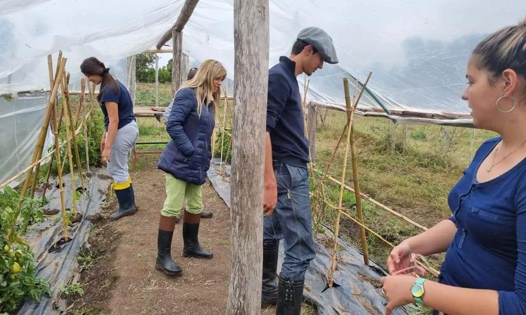 en la huerta