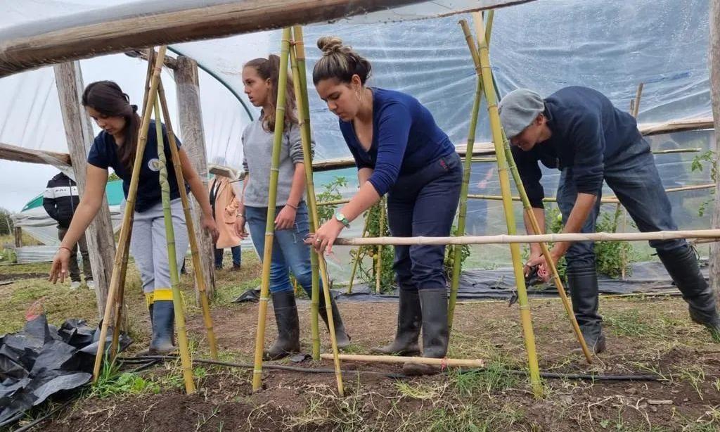 estudiantes en la huerta