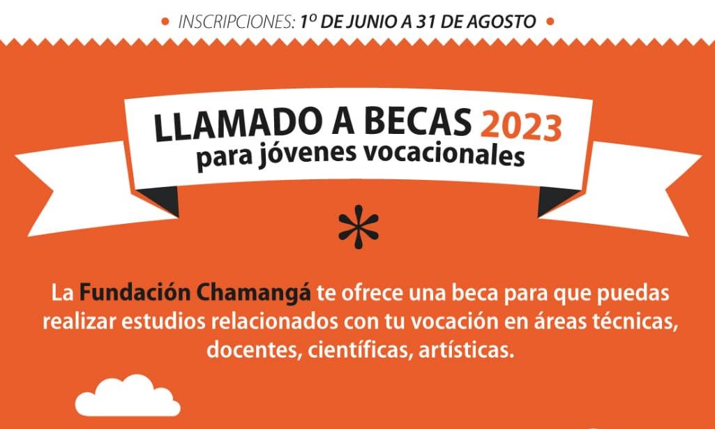Comunicado de Prensa
