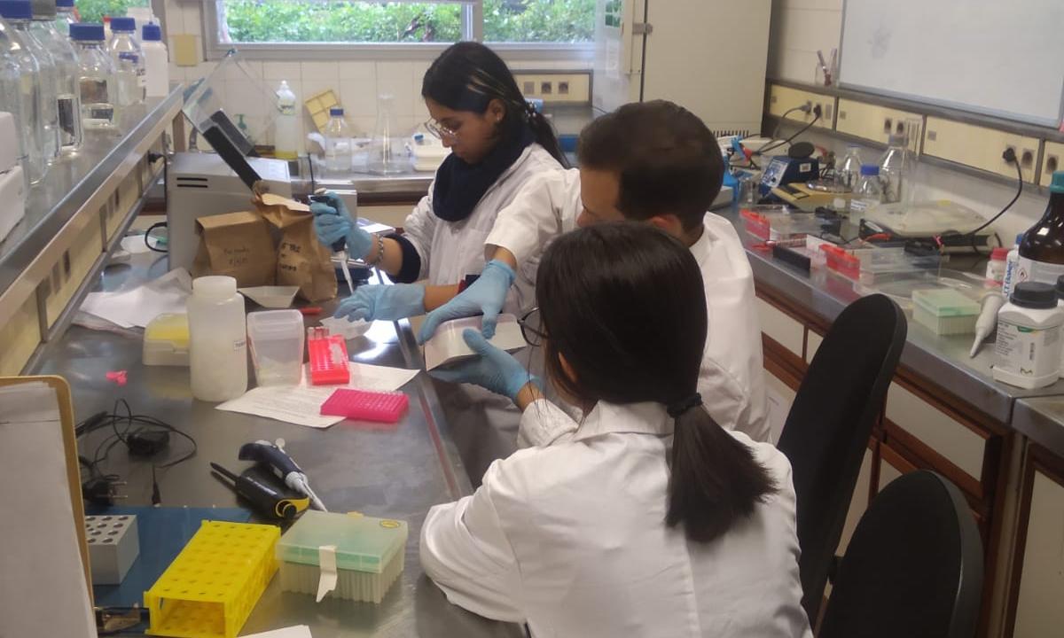 en el laboratorio de inia