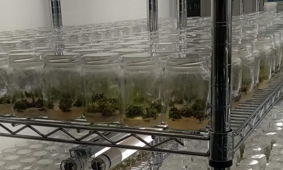 laboratorio