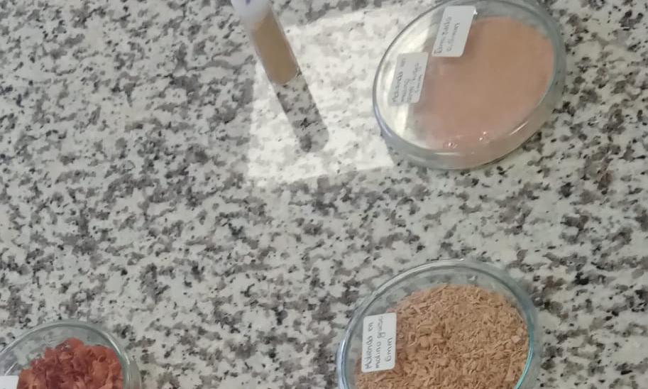 experimentos