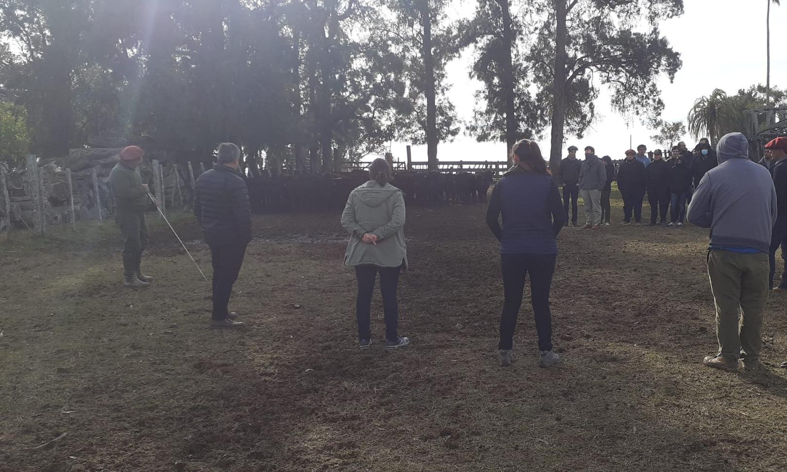 todos en el campo