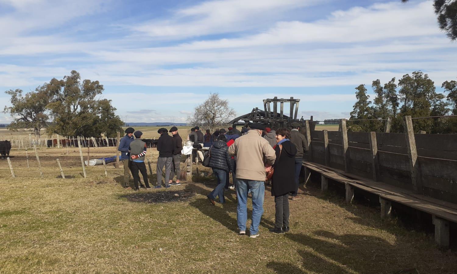 personas en el campo