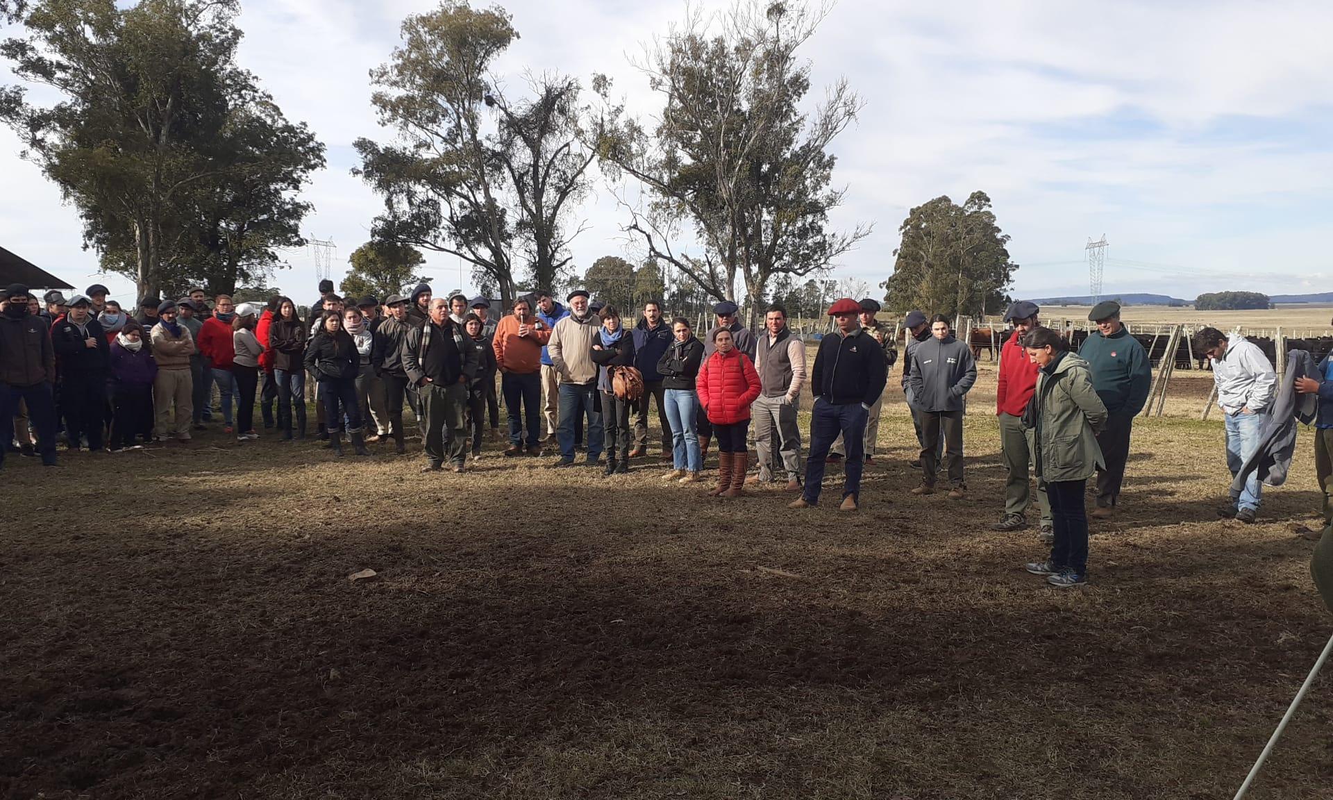 todos en el campo