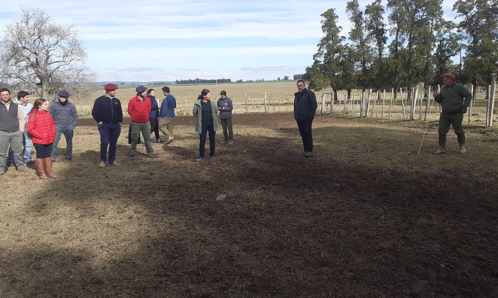 en el campo