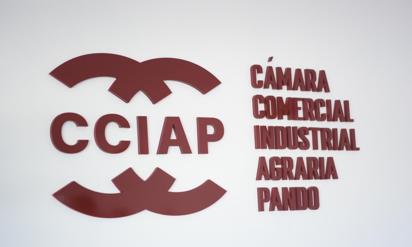 nombre de la cámara
