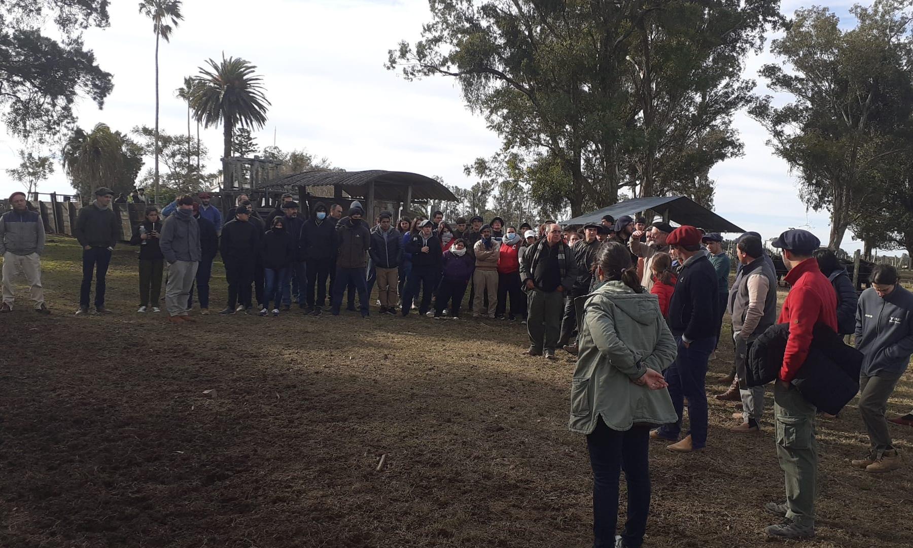 todos en el campo