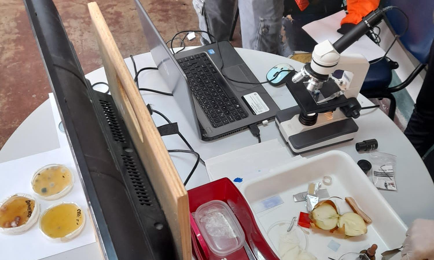 Jornadas de talleres de ciencias experimentales: biología, física y química