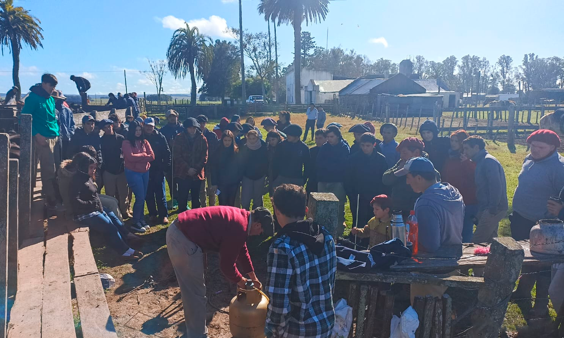 todos en el campo