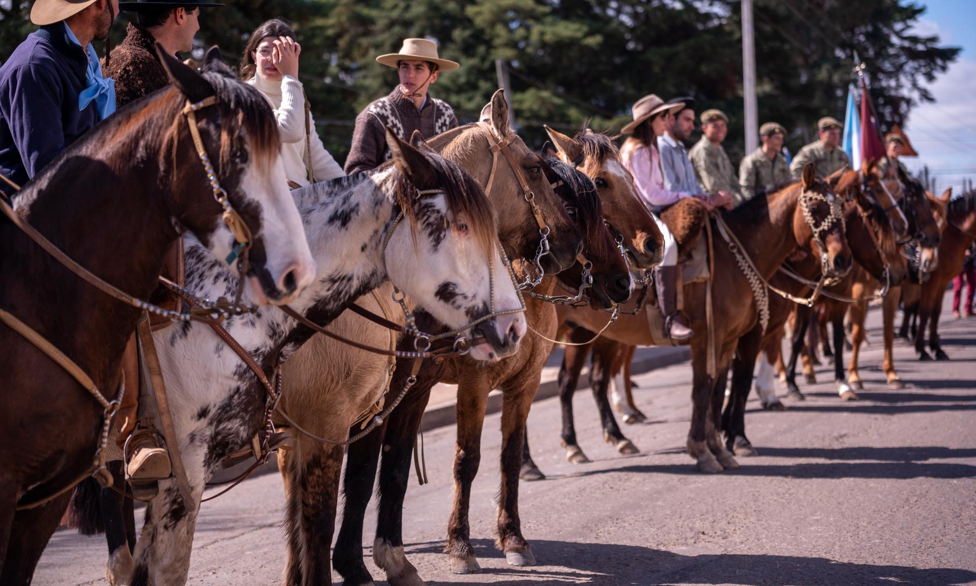caballos