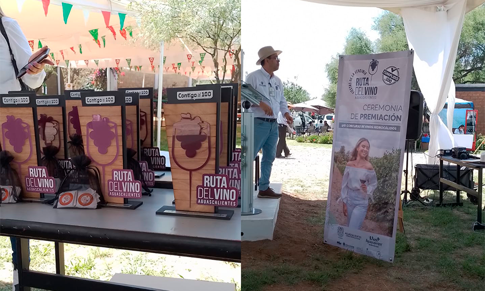 evento del vino