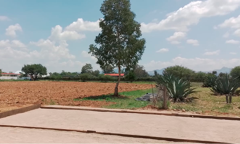 campo para plantar