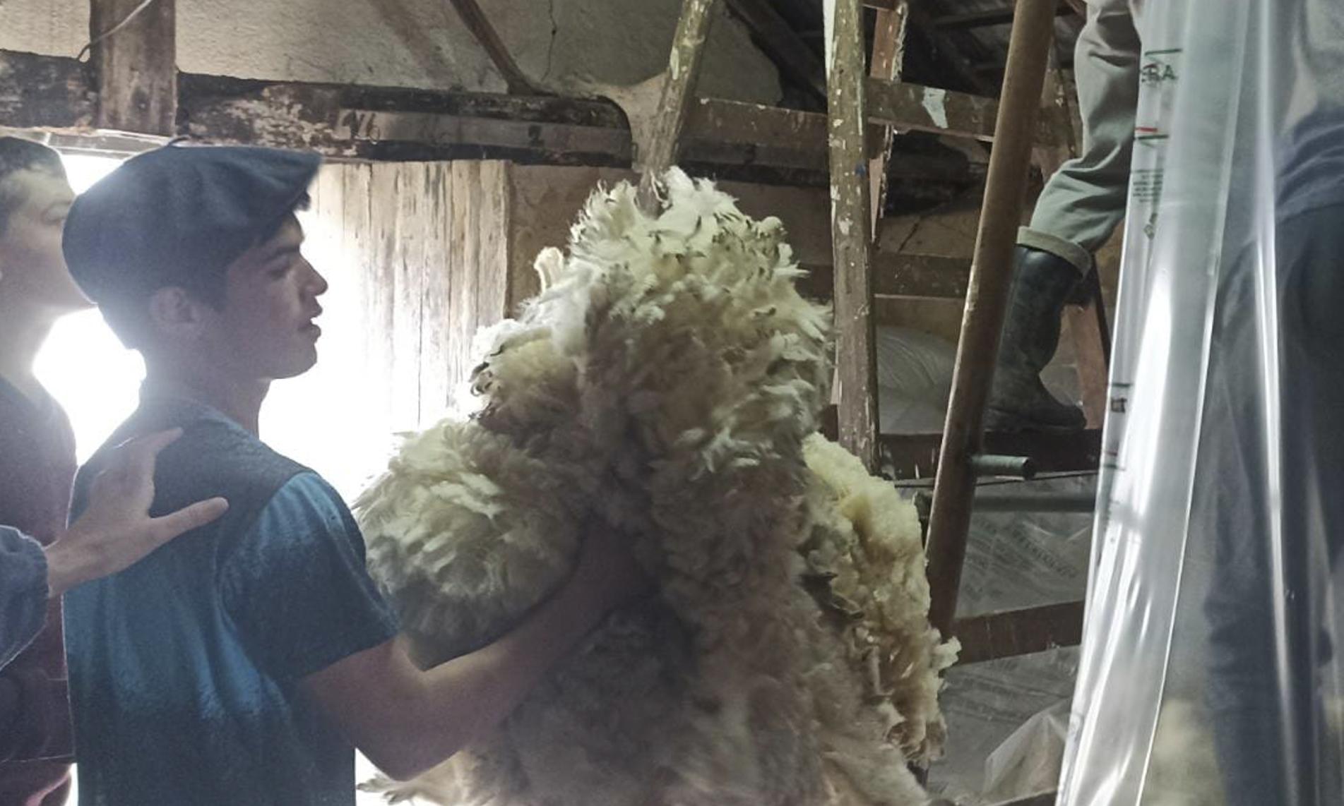 alumno con el vellón