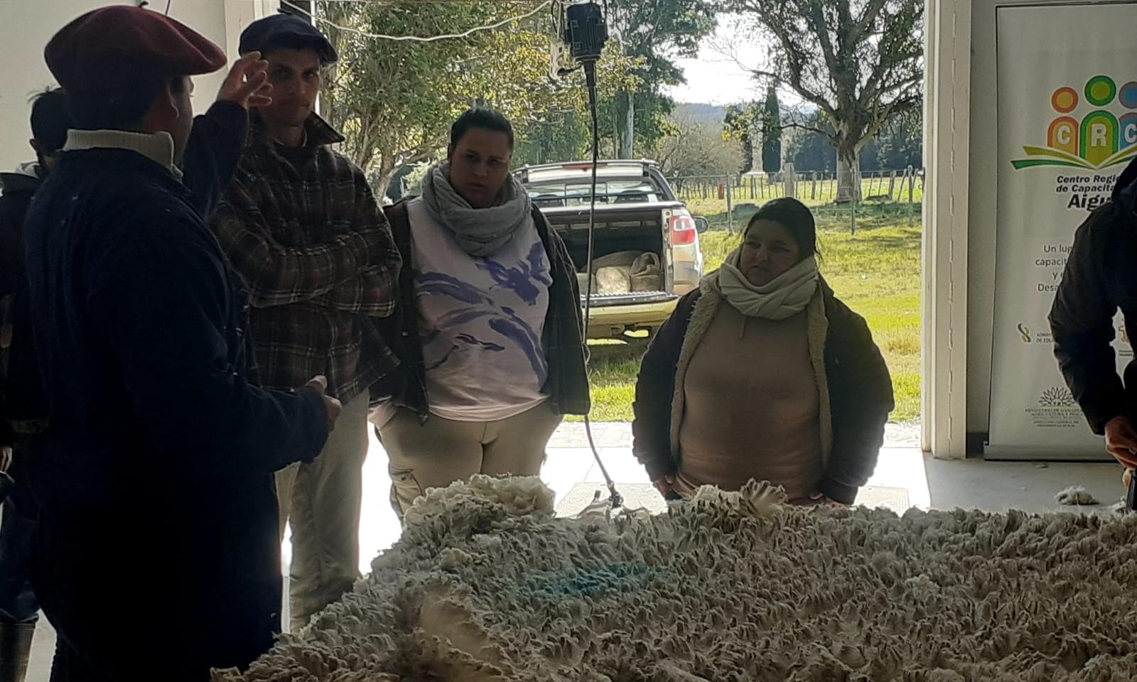 Jornada de esquila con alumnos de Lascano