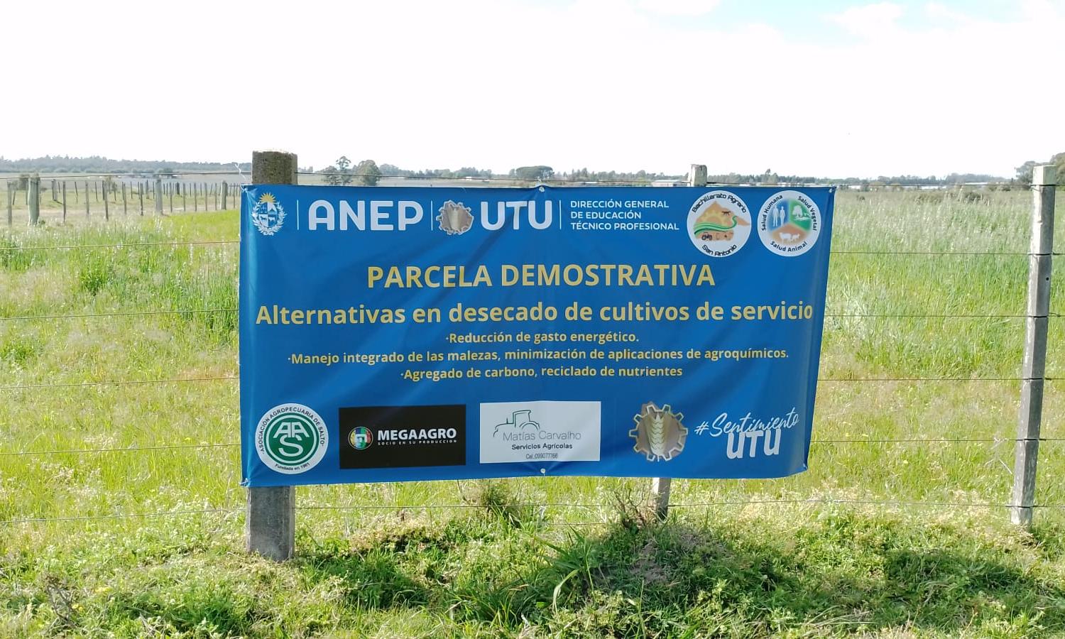 cartel
