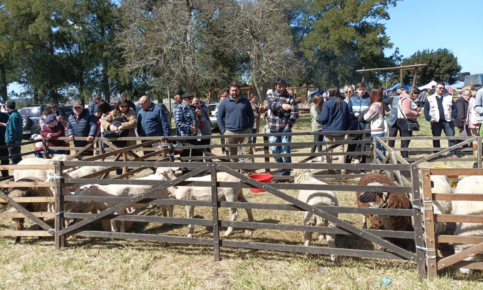 2º festival del Asador 