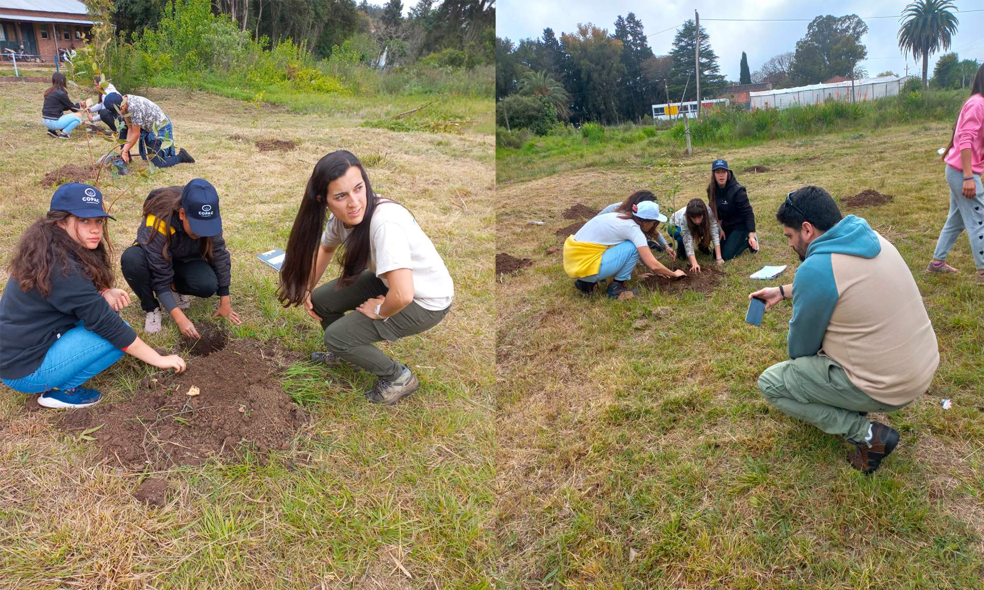 plantando