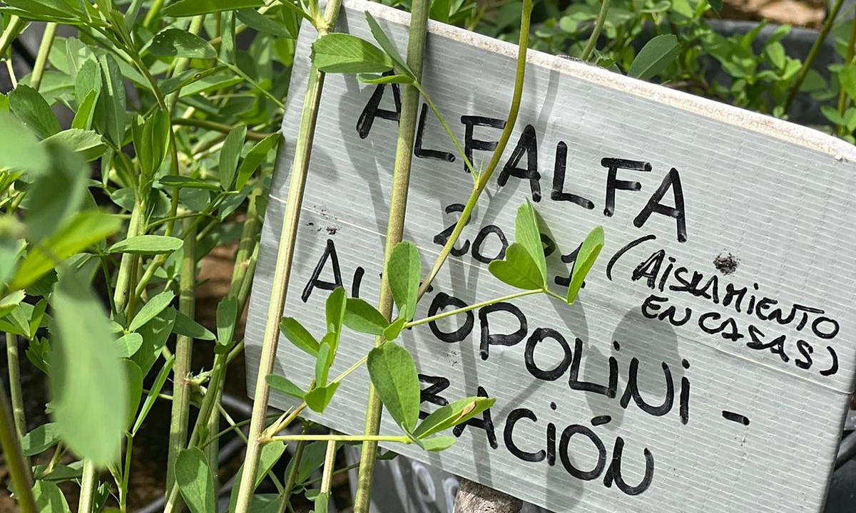 visita a INIA Tacuarembó 