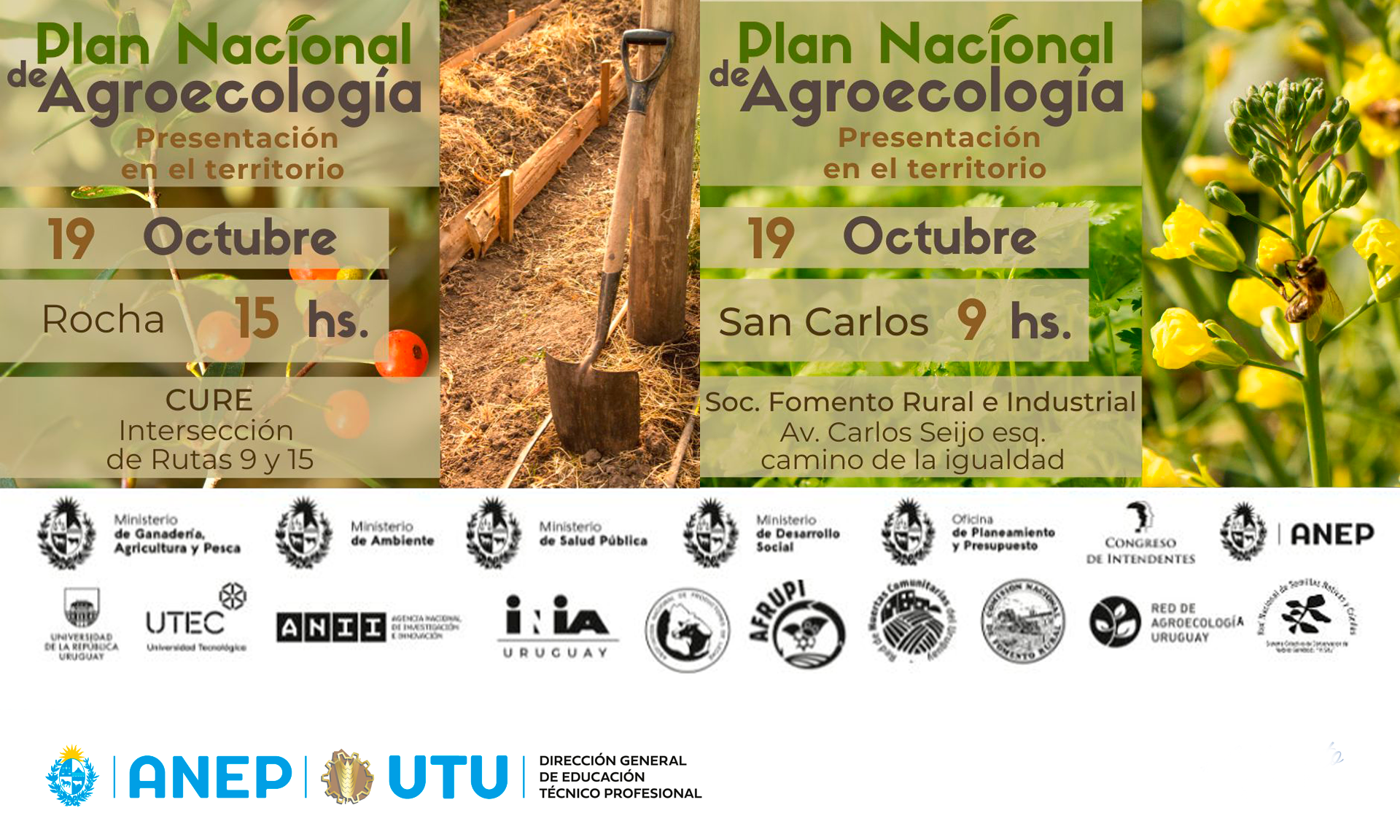 AFICHE