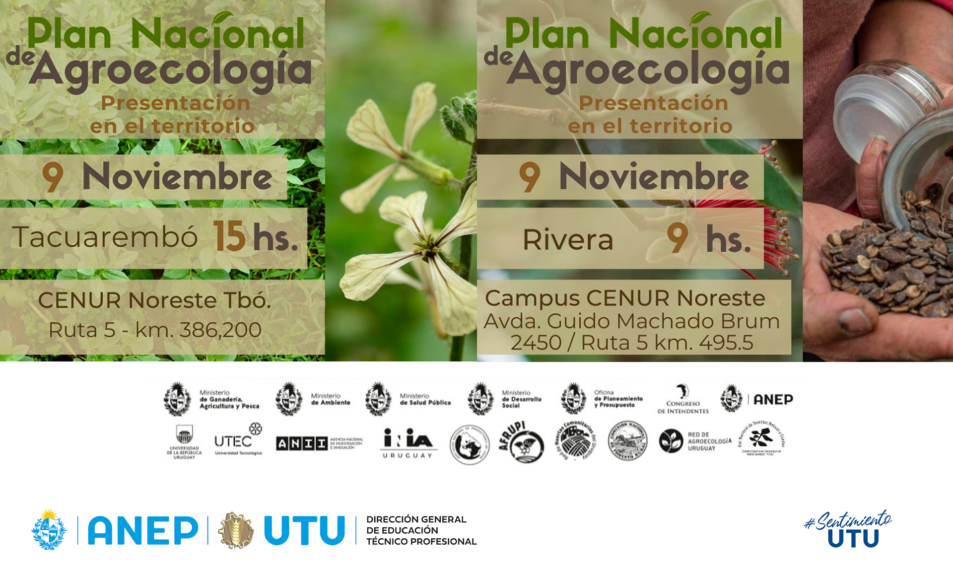 AFICHE